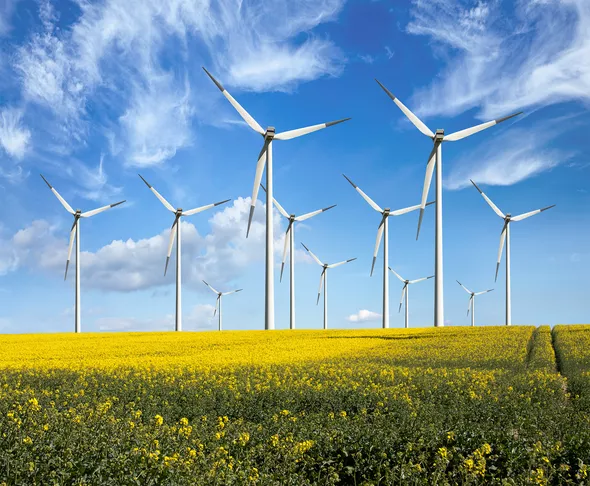 Windkraftanlagen in einem blühenden Rapsfeld